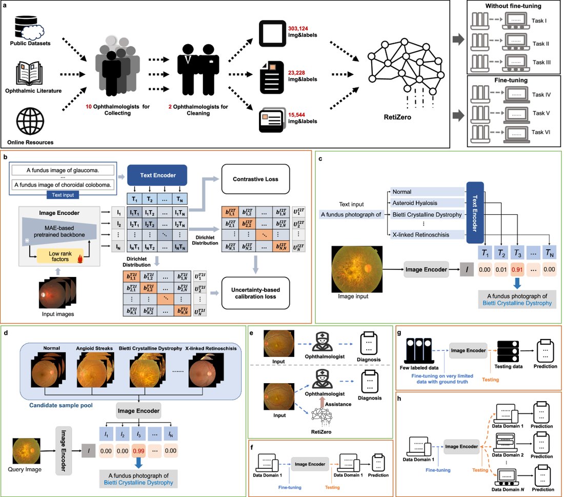 Enhancing Diagnostic Accuracy in Rare and Common Fundus Diseases with a Knowledge-Rich Vision-Language Model